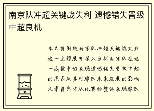 南京队冲超关键战失利 遗憾错失晋级中超良机