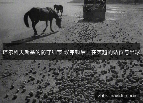 塔尔科夫斯基的防守细节 埃弗顿后卫在英超的站位与出球
